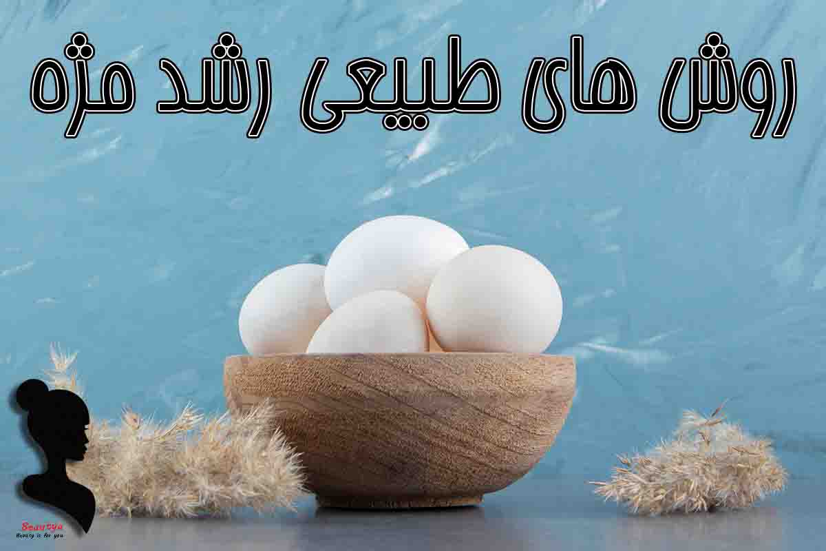 بهترین روش های طبیعی رشد مژه1