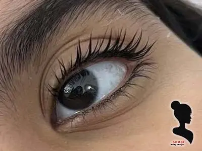 نمونه کار مژه فریبا راثی - مدل سوم